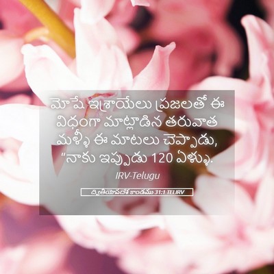 Picture 05 - ద్వితీయోపదేశ కాండము 31:1 TELIRV - మోషే ఇశ్రాయేలు - Bible Verse Picture