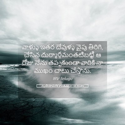 Picture 05 - ద్వితీయోపదేశ కాండము 31:18 TELIRV - వాళ్ళు ఇతర - Bible Verse Picture