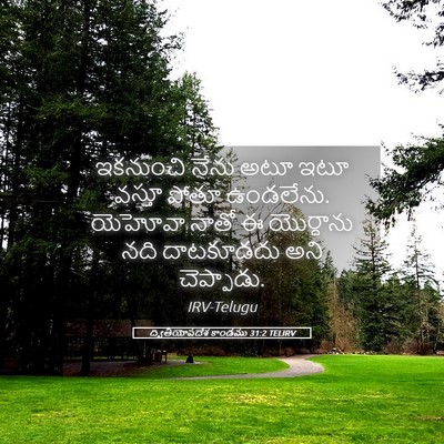 Picture 05 - ద్వితీయోపదేశ కాండము 31:2 TELIRV - ఇకనుంచి నేను అటూ - Bible Verse Picture
