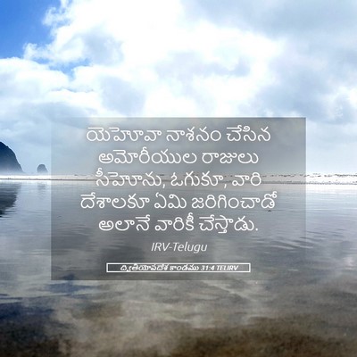 Picture 05 - ద్వితీయోపదేశ కాండము 31:4 TELIRV - యెహోవా నాశనం - Bible Verse Picture
