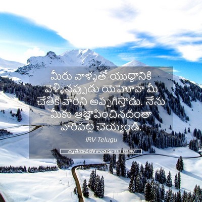 Picture 05 - ద్వితీయోపదేశ కాండము 31:5 TELIRV - మీరు వాళ్ళతో - Bible Verse Picture