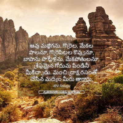 Picture 05 - ద్వితీయోపదేశ కాండము 32:14 TELIRV - ఆవు మజ్జిగను, - Bible Verse Picture