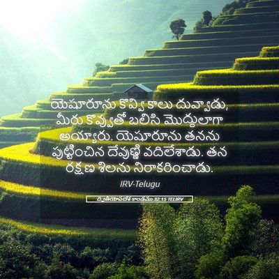 Picture 05 - ద్వితీయోపదేశ కాండము 32:15 TELIRV - యెషూరూను కొవ్వి - Bible Verse Picture