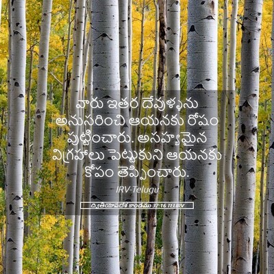 Picture 05 - ద్వితీయోపదేశ కాండము 32:16 TELIRV - వారు ఇతర - Bible Verse Picture