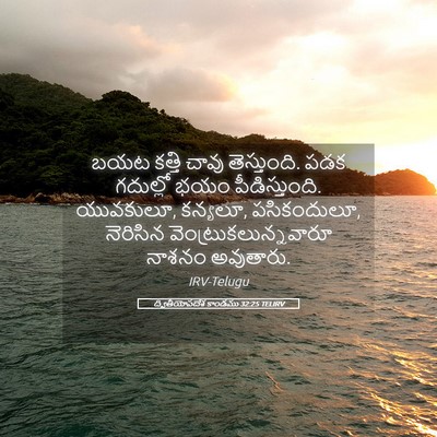 Picture 05 - ద్వితీయోపదేశ కాండము 32:25 TELIRV - బయట కత్తి చావు - Bible Verse Picture