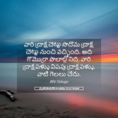 Picture 05 - ద్వితీయోపదేశ కాండము 32:32 TELIRV - వారి - Bible Verse Picture