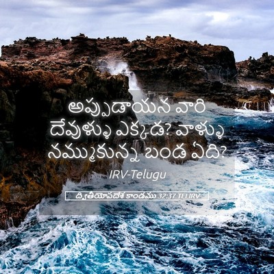 Picture 05 - ద్వితీయోపదేశ కాండము 32:37 TELIRV - అప్పుడాయన వారి - Bible Verse Picture