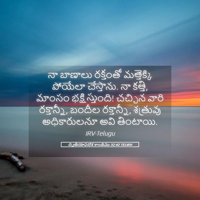 Picture 05 - ద్వితీయోపదేశ కాండము 32:42 TELIRV - నా బాణాలు రక్తంతో - Bible Verse Picture