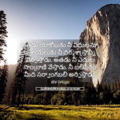 Picture 05 - ద్వితీయోపదేశ కాండము 33:10 TELIRV - అతడు యాకోబుకు నీ - Bible Verse Picture