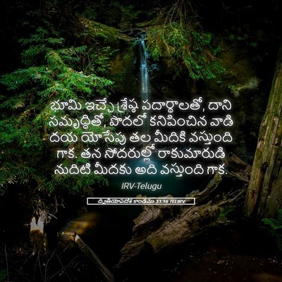 Picture 05 - ద్వితీయోపదేశ కాండము 33:16 TELIRV - భూమి ఇచ్చే - Bible Verse Picture