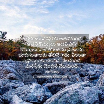Picture 05 - ద్వితీయోపదేశ కాండము 33:17 TELIRV - తొలిచూలు ఎద్దు - Bible Verse Picture