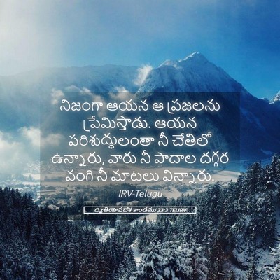 Picture 05 - ద్వితీయోపదేశ కాండము 33:3 TELIRV - నిజంగా ఆయన ఆ - Bible Verse Picture