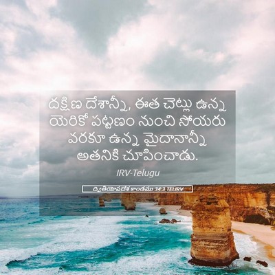Picture 05 - ద్వితీయోపదేశ కాండము 34:3 TELIRV - దక్షిణ దేశాన్నీ, - Bible Verse Picture