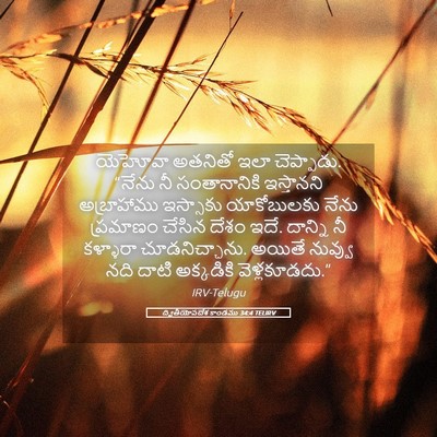 Picture 05 - ద్వితీయోపదేశ కాండము 34:4 TELIRV - యెహోవా అతనితో ఇలా - Bible Verse Picture