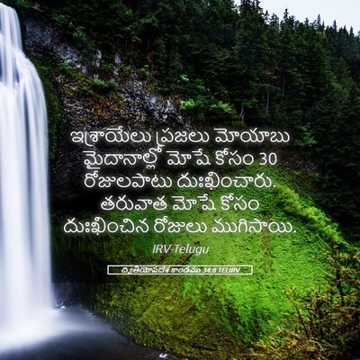 Picture 05 - ద్వితీయోపదేశ కాండము 34:8 TELIRV - ఇశ్రాయేలు ప్రజలు - Bible Verse Picture