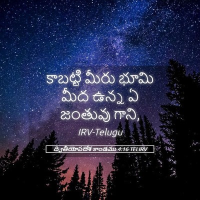 Picture 05 - ద్వితీయోపదేశ కాండము 4:16 TELIRV - కాబట్టి మీరు భూమి - Bible Verse Picture