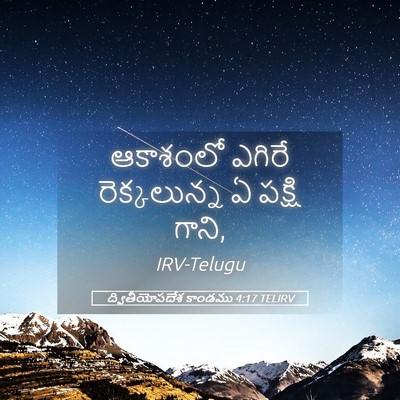 Picture 05 - ద్వితీయోపదేశ కాండము 4:17 TELIRV - ఆకాశంలో ఎగిరే - Bible Verse Picture