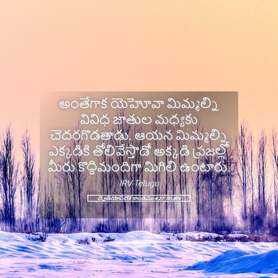 Picture 05 - ద్వితీయోపదేశ కాండము 4:27 TELIRV - అంతేగాక యెహోవా - Bible Verse Picture