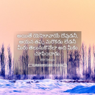 Picture 05 - ద్వితీయోపదేశ కాండము 4:35 TELIRV - అయితే యెహోవాయే - Bible Verse Picture