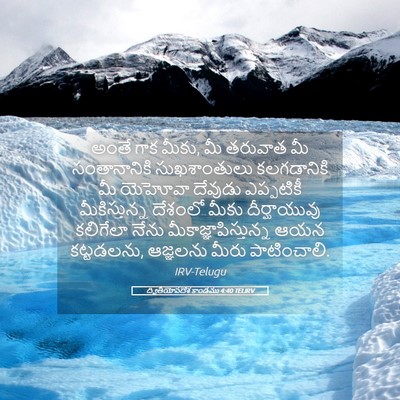Picture 05 - ద్వితీయోపదేశ కాండము 4:40 TELIRV - అంతే గాక మీకు, మీ - Bible Verse Picture