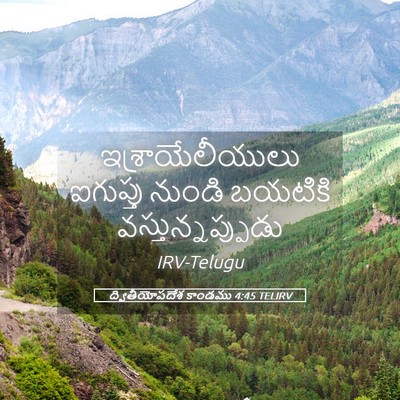Picture 05 - ద్వితీయోపదేశ కాండము 4:45 TELIRV - ఇశ్రాయేలీయులు - Bible Verse Picture