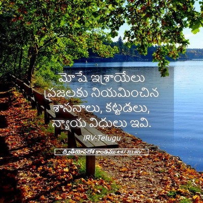 Picture 05 - ద్వితీయోపదేశ కాండము 4:47 TELIRV - మోషే ఇశ్రాయేలు - Bible Verse Picture