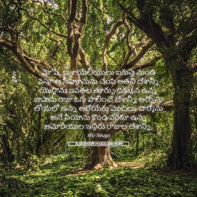 Picture 05 - ద్వితీయోపదేశ కాండము 4:48 TELIRV - మోషే, - Bible Verse Picture