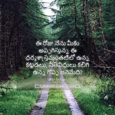 Picture 05 - ద్వితీయోపదేశ కాండము 4:8 TELIRV - ఈ రోజు నేను మీకు - Bible Verse Picture