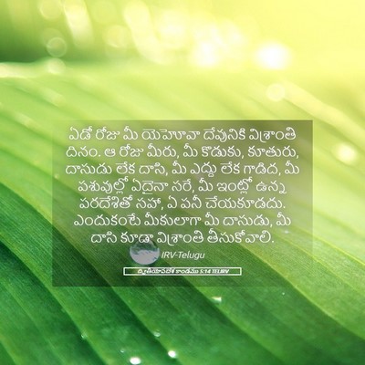 Picture 05 - ద్వితీయోపదేశ కాండము 5:14 TELIRV - ఏడో రోజు మీ యెహోవా - Bible Verse Picture