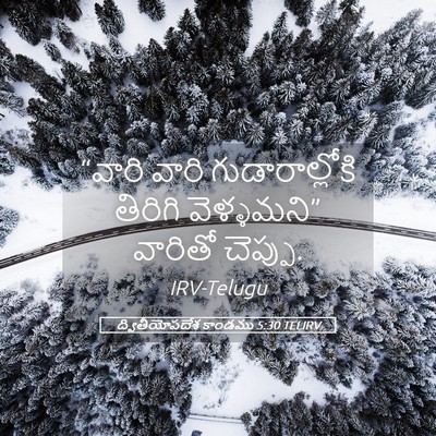 Picture 05 - ద్వితీయోపదేశ కాండము 5:30 TELIRV - “వారి వారి - Bible Verse Picture