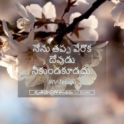 Picture 05 - ద్వితీయోపదేశ కాండము 5:7 TELIRV - నేను తప్ప వేరొక - Bible Verse Picture