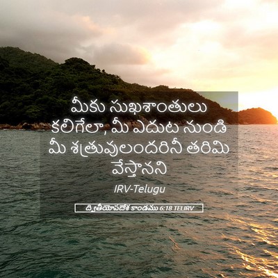 Picture 05 - ద్వితీయోపదేశ కాండము 6:18 TELIRV - మీకు సుఖశాంతులు - Bible Verse Picture