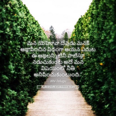 Picture 05 - ద్వితీయోపదేశ కాండము 6:25 TELIRV - మన యెహోవా దేవుడు - Bible Verse Picture