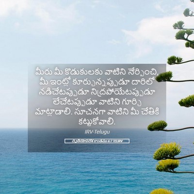 Picture 05 - ద్వితీయోపదేశ కాండము 6:7 TELIRV - మీరు మీ కొడుకులకు - Bible Verse Picture