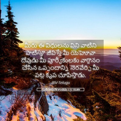 Picture 05 - ద్వితీయోపదేశ కాండము 7:12 TELIRV - మీరు ఈ విధులను - Bible Verse Picture