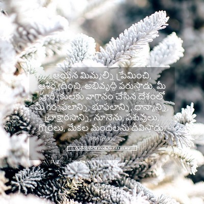 Picture 05 - ద్వితీయోపదేశ కాండము 7:13 TELIRV - ఆయన మిమ్మల్ని - Bible Verse Picture