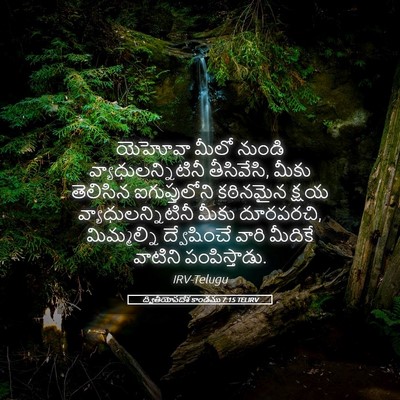 Picture 05 - ద్వితీయోపదేశ కాండము 7:15 TELIRV - యెహోవా మీలో నుండి - Bible Verse Picture