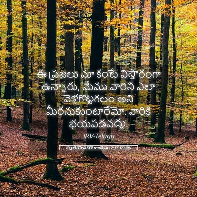 Picture 05 - ద్వితీయోపదేశ కాండము 7:17 TELIRV - ఈ ప్రజలు మా కంటే - Bible Verse Picture
