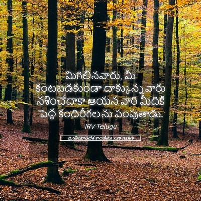 Picture 05 - ద్వితీయోపదేశ కాండము 7:20 TELIRV - మిగిలినవారు, మీ - Bible Verse Picture
