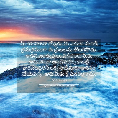 Picture 05 - ద్వితీయోపదేశ కాండము 7:22 TELIRV - మీ యెహోవా దేవుడు - Bible Verse Picture