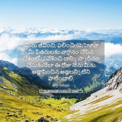 Picture 05 - ద్వితీయోపదేశ కాండము 8:1 TELIRV - “మీరు జీవించి, - Bible Verse Picture