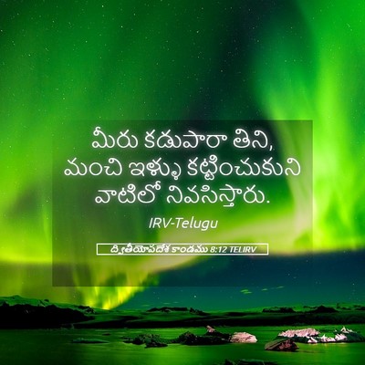 Picture 05 - ద్వితీయోపదేశ కాండము 8:12 TELIRV - మీరు కడుపారా తిని, - Bible Verse Picture