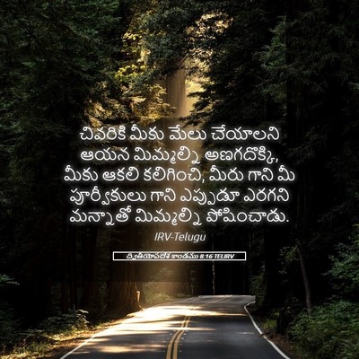 Picture 05 - ద్వితీయోపదేశ కాండము 8:16 TELIRV - చివరికి మీకు మేలు - Bible Verse Picture