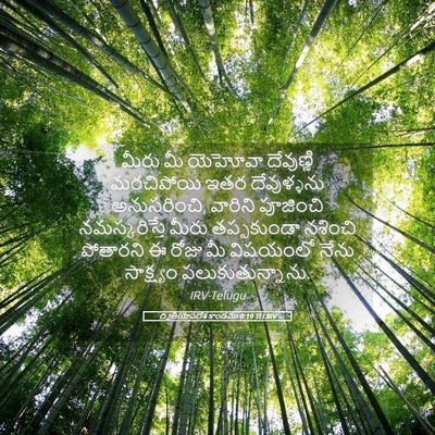 Picture 05 - ద్వితీయోపదేశ కాండము 8:19 TELIRV - మీరు మీ యెహోవా - Bible Verse Picture