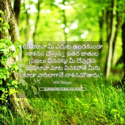 Picture 05 - ద్వితీయోపదేశ కాండము 8:20 TELIRV - యెహోవా మీ ఎదుట - Bible Verse Picture