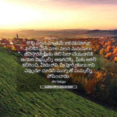 Picture 05 - ద్వితీయోపదేశ కాండము 8:3 TELIRV - రొట్టె వలన - Bible Verse Picture