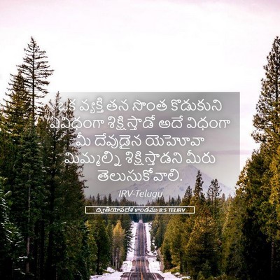 Picture 05 - ద్వితీయోపదేశ కాండము 8:5 TELIRV - ఒక వ్యక్తి తన సొంత - Bible Verse Picture