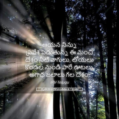 Picture 05 - ద్వితీయోపదేశ కాండము 8:7 TELIRV - ఆయన నిన్ను - Bible Verse Picture