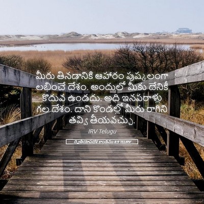 Picture 05 - ద్వితీయోపదేశ కాండము 8:9 TELIRV - మీరు తినడానికి - Bible Verse Picture