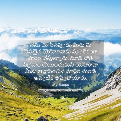 Picture 05 - ద్వితీయోపదేశ కాండము 9:16 TELIRV - నేను చూసినప్పుడు - Bible Verse Picture